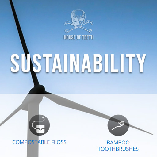 house of teeth sustainability windmill