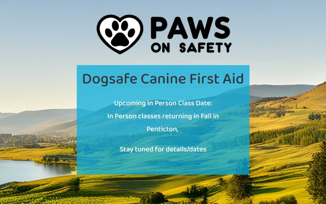 paws hero